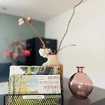 Holiday home Stijlvol 4-6 Pers 
