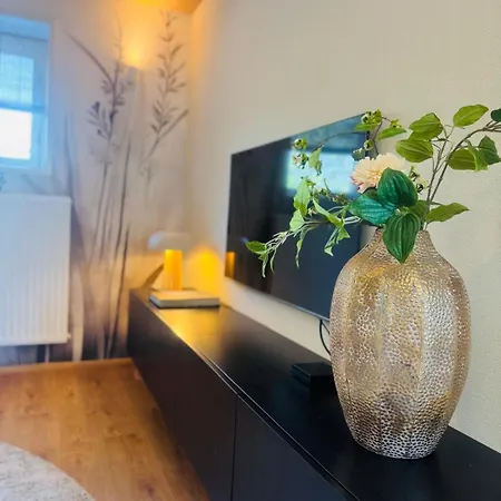 Ferienhaus Stijlvol 4-6 Pers 