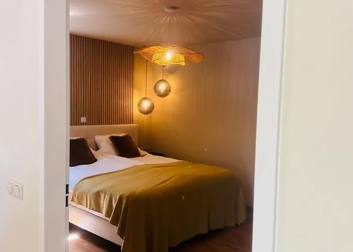 Stijlvol & Ruim Relax 'de Meierij' Nyaraló